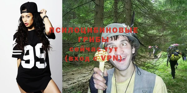 ECSTASY Алексин